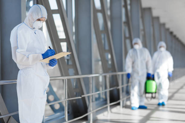 Best Airborne Mold Testing  in Hagerstown, MD