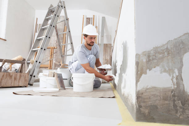 Best Emergency Mold Remediation  in Hagerstown, MD