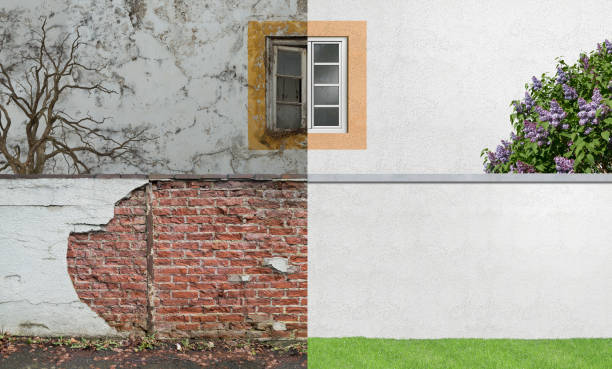 Best Mold Prevention Services  in Hagerstown, MD