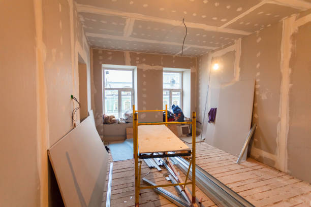 Trusted Hagerstown, MD Mold Removal Experts