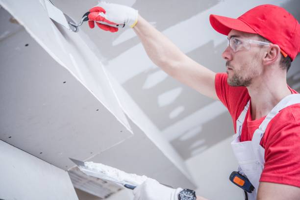 Best Forensic Mold Investigation  in Hagerstown, MD